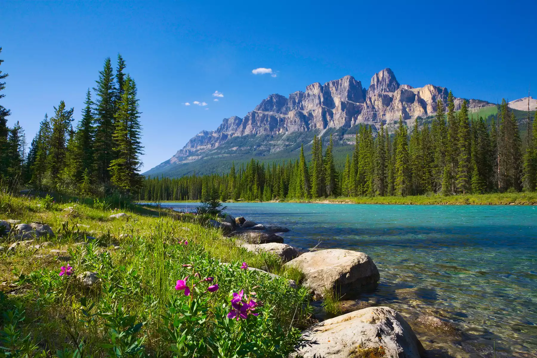 Canadian Rockies Road Trips