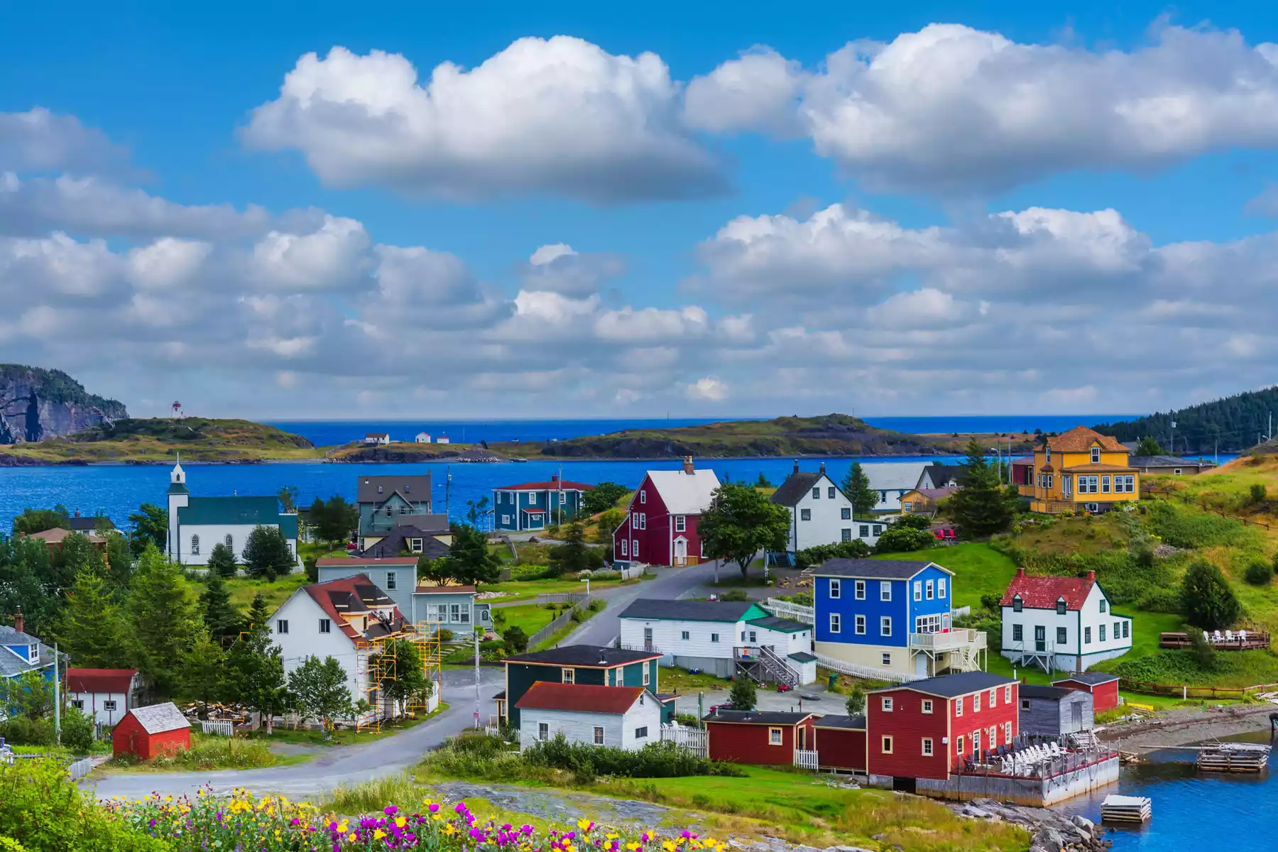 Newfoundland Road Trips