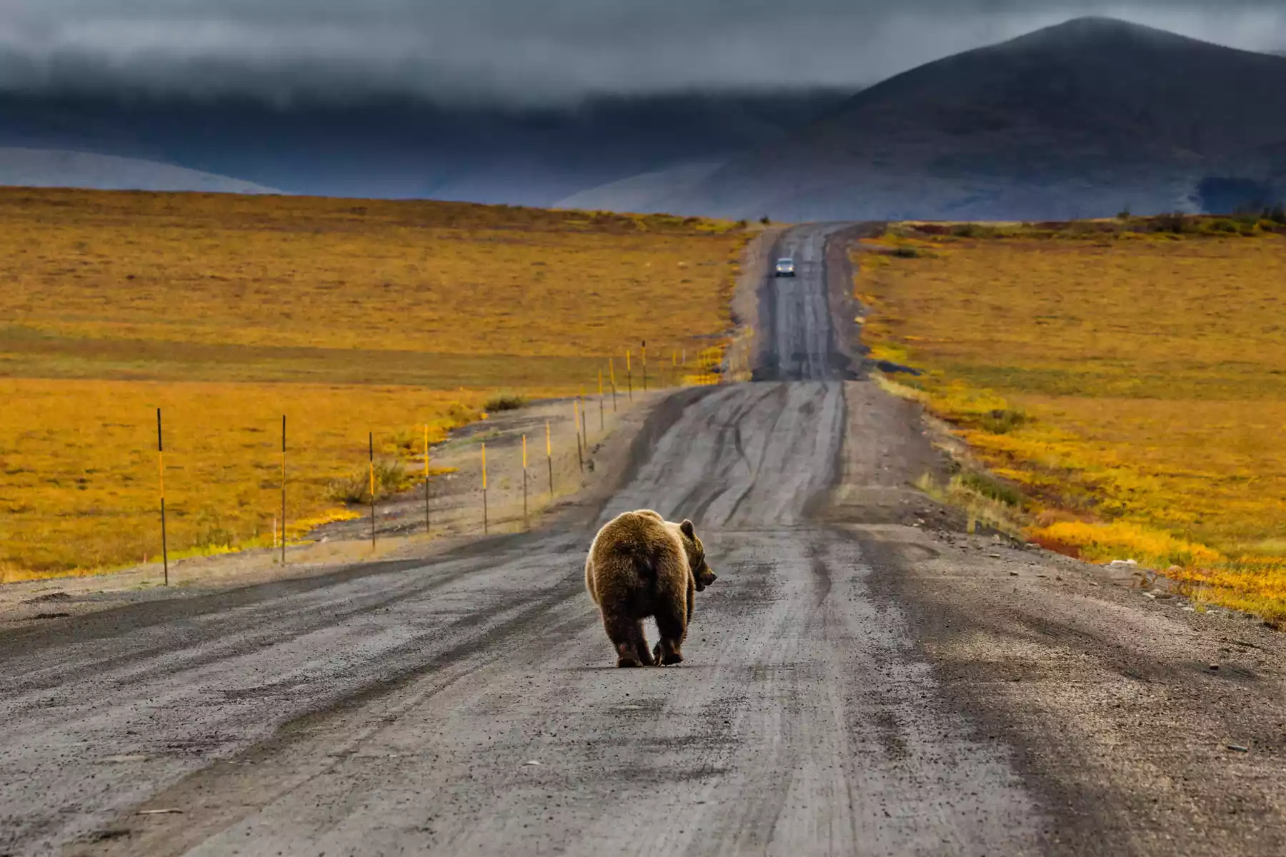 Yukon and Alaska Road Trips