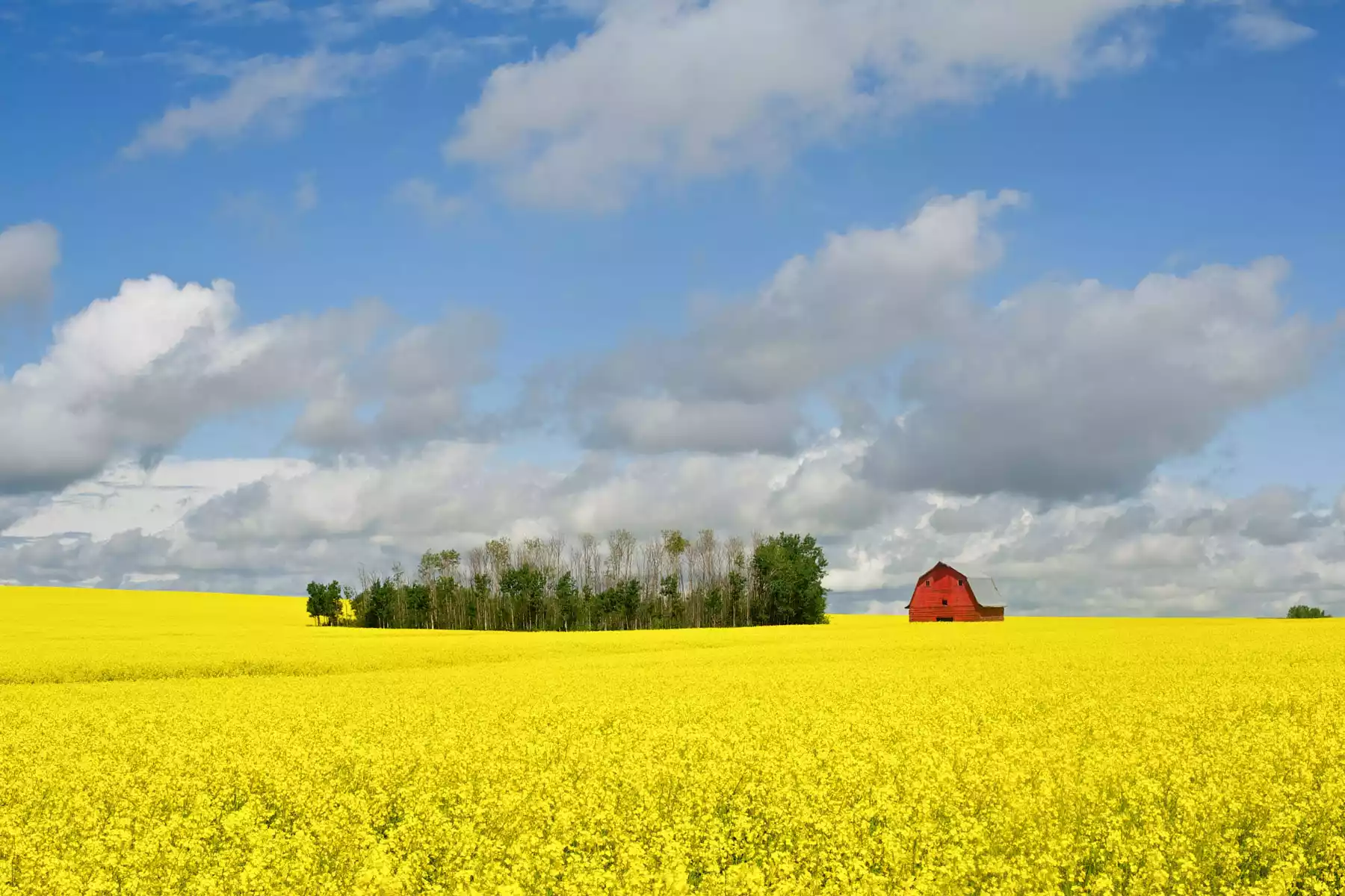 Central Canada Vacations
