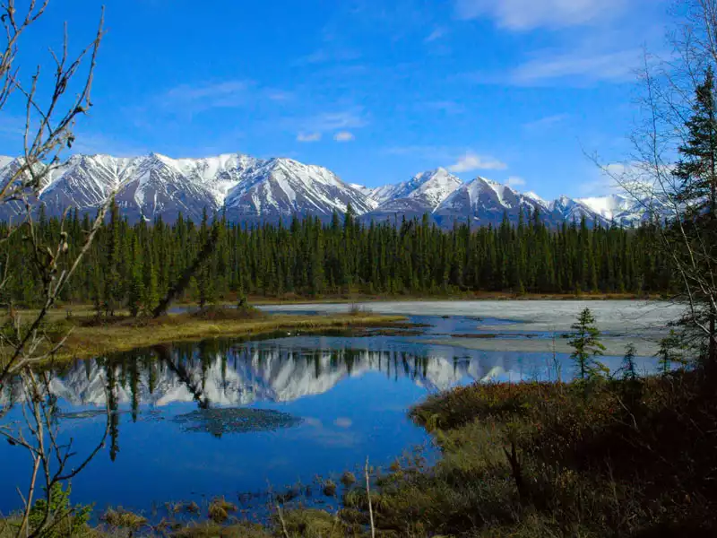 Alaska National Parks Self Drive Explorer 1
