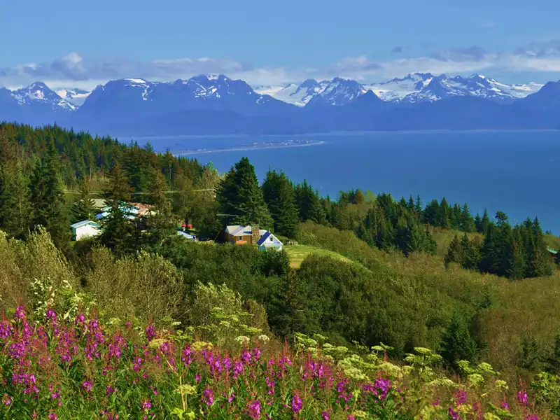 Alaska’s Mountains, Glaciers & Wildlife | First Time Favorites Drive Tour