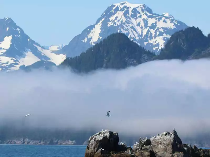 Alaskas Scenic National Parks Road Trip 4