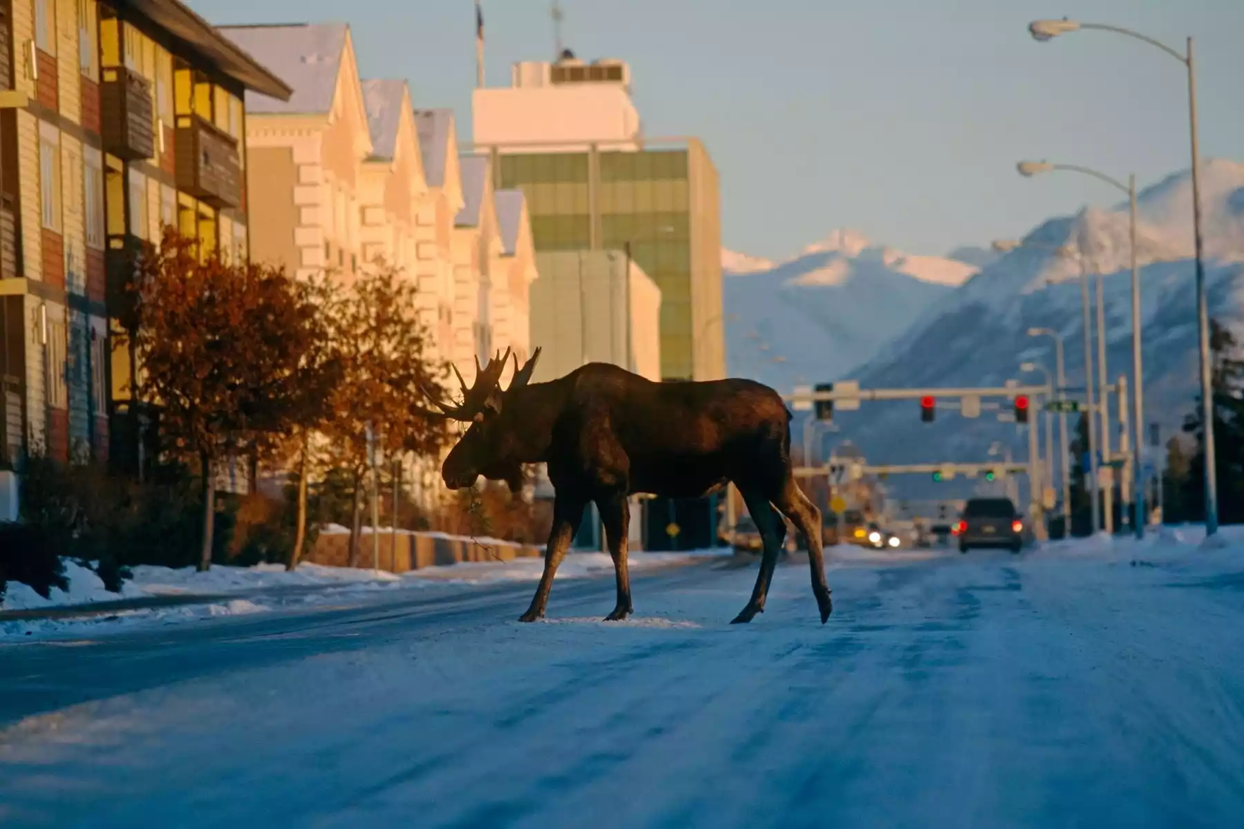 Anchorage Vacations | Alaska Tours Anchorage Vacations | Alaska Tours