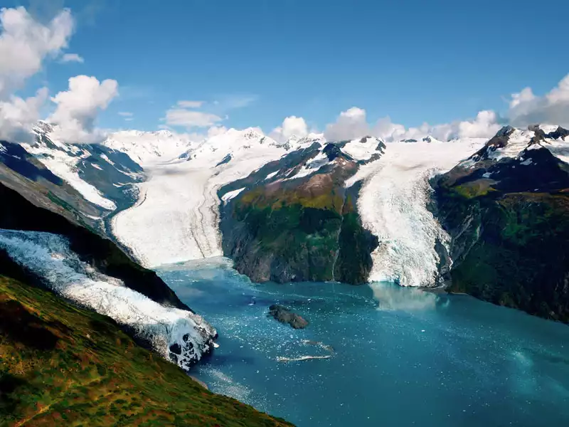 Best of Alaska Rail Bears Glaciers First Time Favourites 2