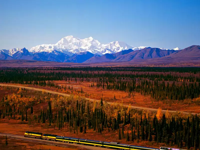 Best of Alaska Rail Bears Glaciers First Time Favourites 3