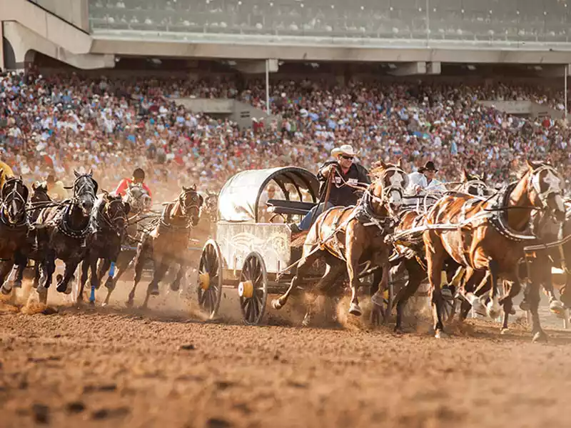 Stampede to Peaks | Rockies Rail Circle