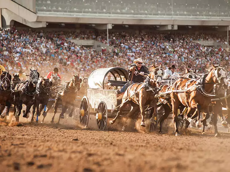 Calgary Stampede and the Canadian Rockies Train Tour 1