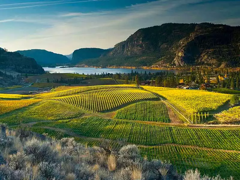 Canadian Rockies Peaks Okanagan Grapes Driving Tour 1