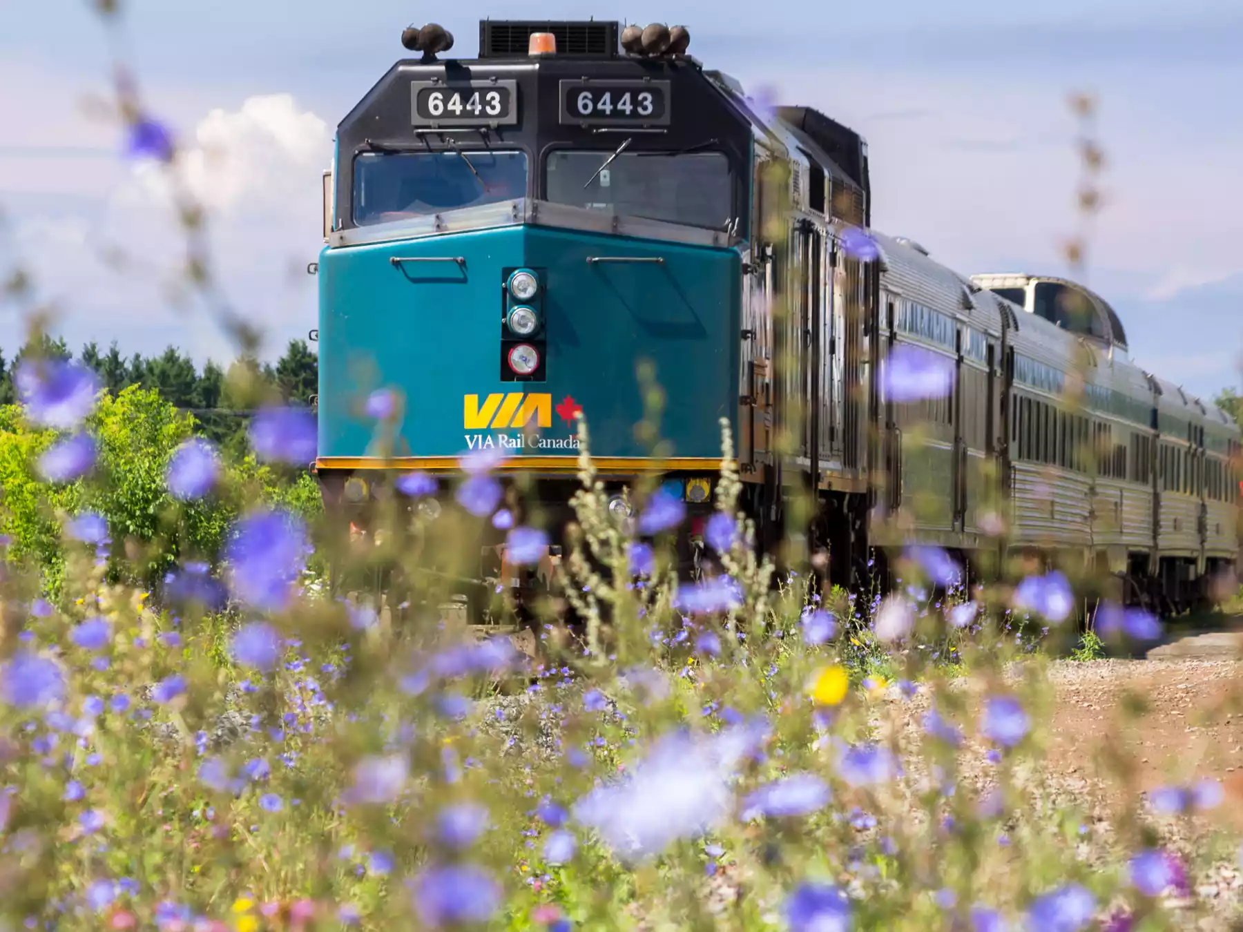 Canadian Rockies Road Trip or Train Trip — or Both ?