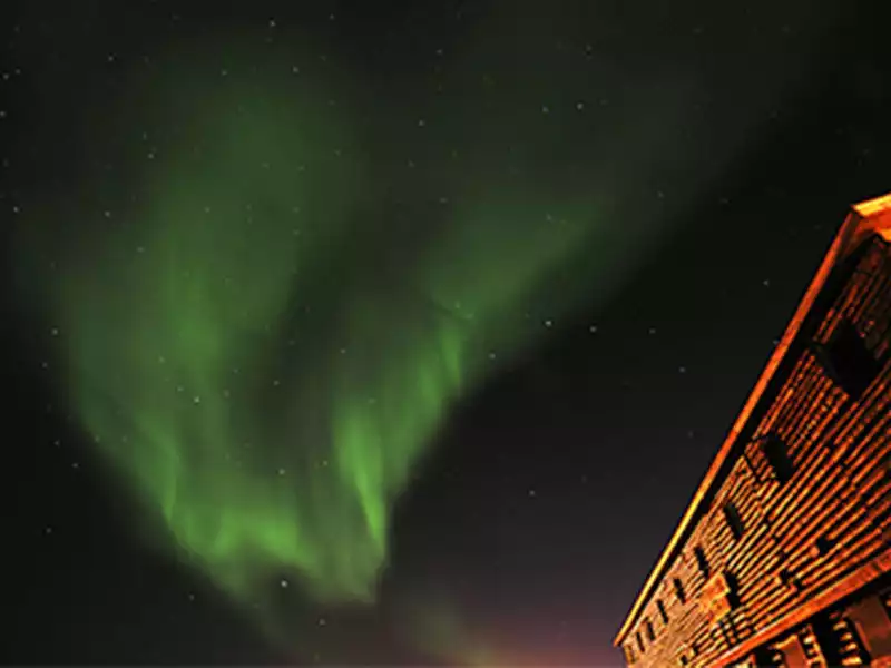 Colors Lights Arctic Polar Bear Adventure 9