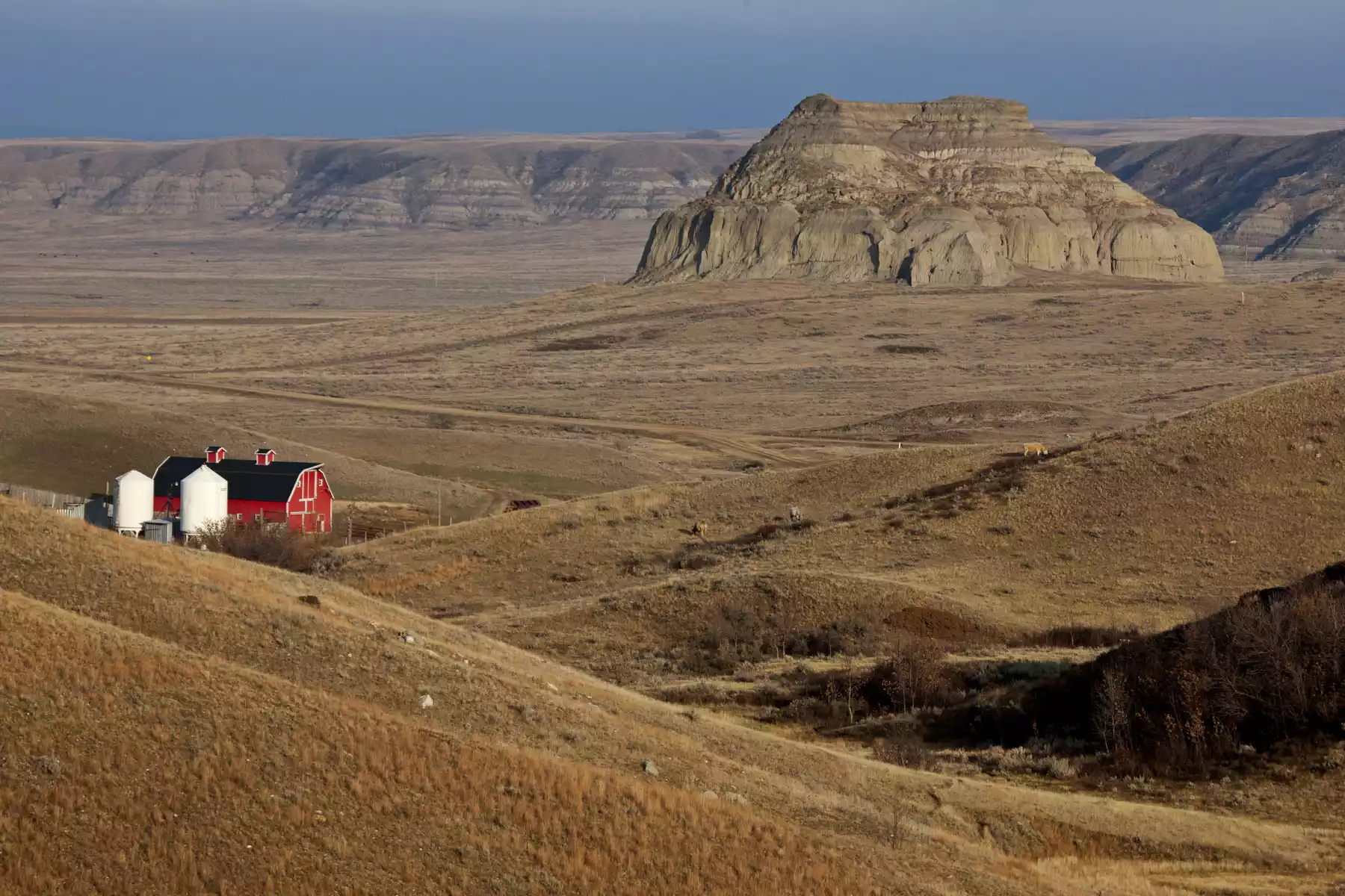 Edmonton, Drumheller, Waterton National Park Vacations