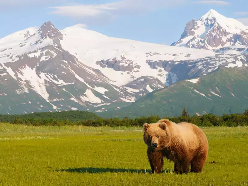 Grand Alaska Rail Cruise Connector 1