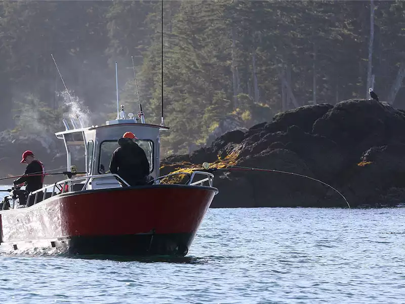 Guided Fishing Package Queen Charlotte Fishing Lodge 6