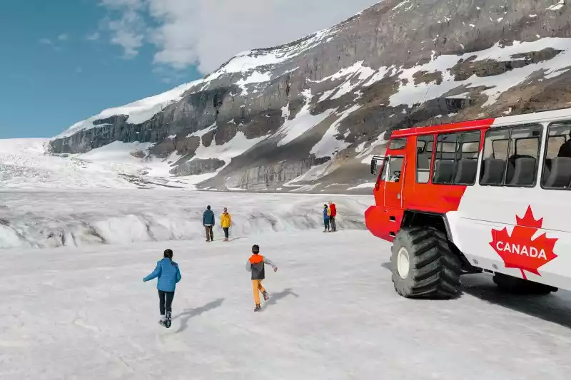 Icefield1705611768
