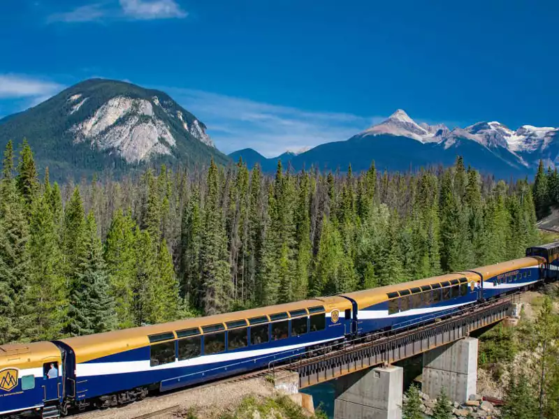 Rocky Mountaineer Silverleaf 1