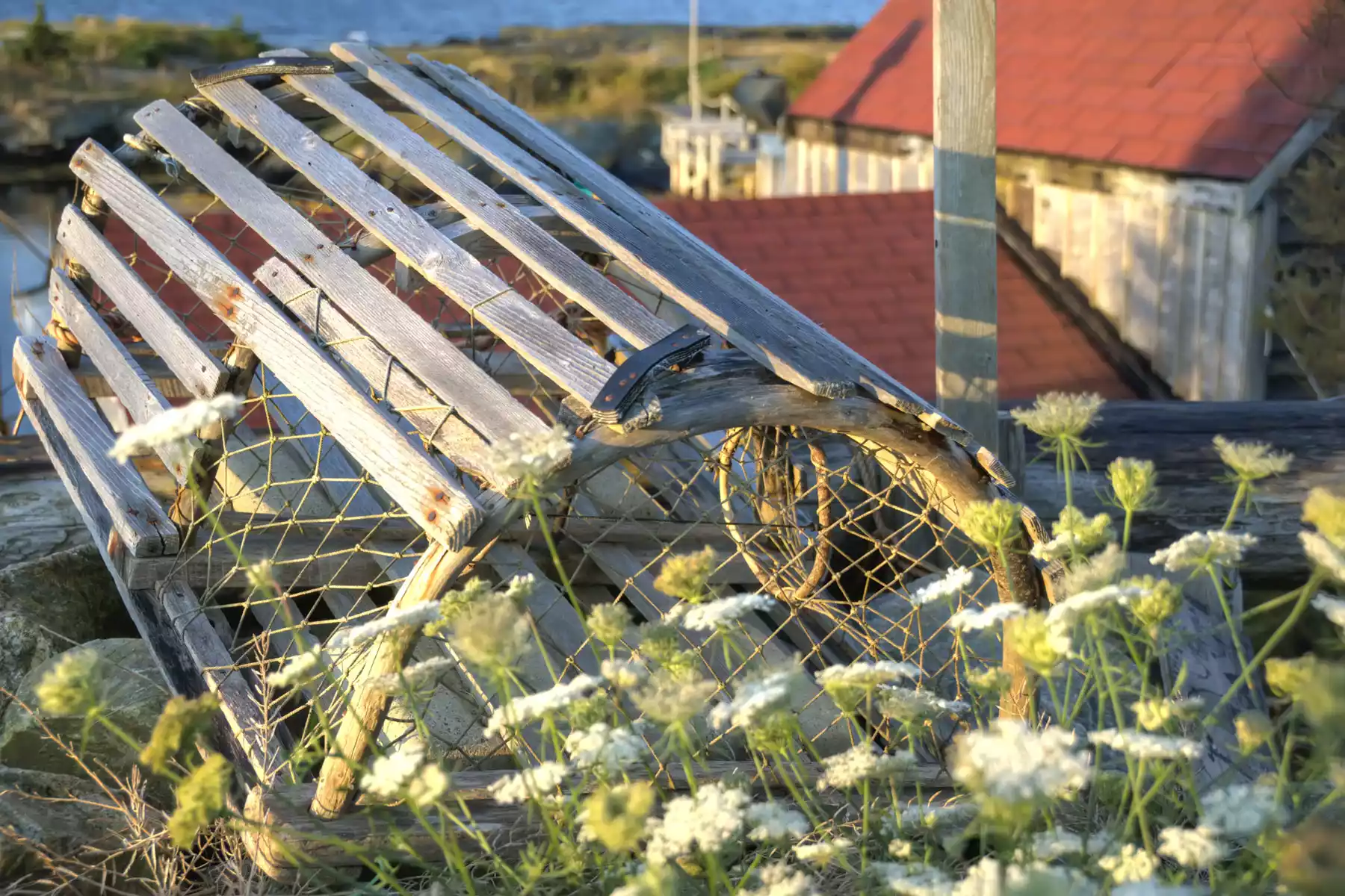Gander Newfoundland Road Trip Vacations
