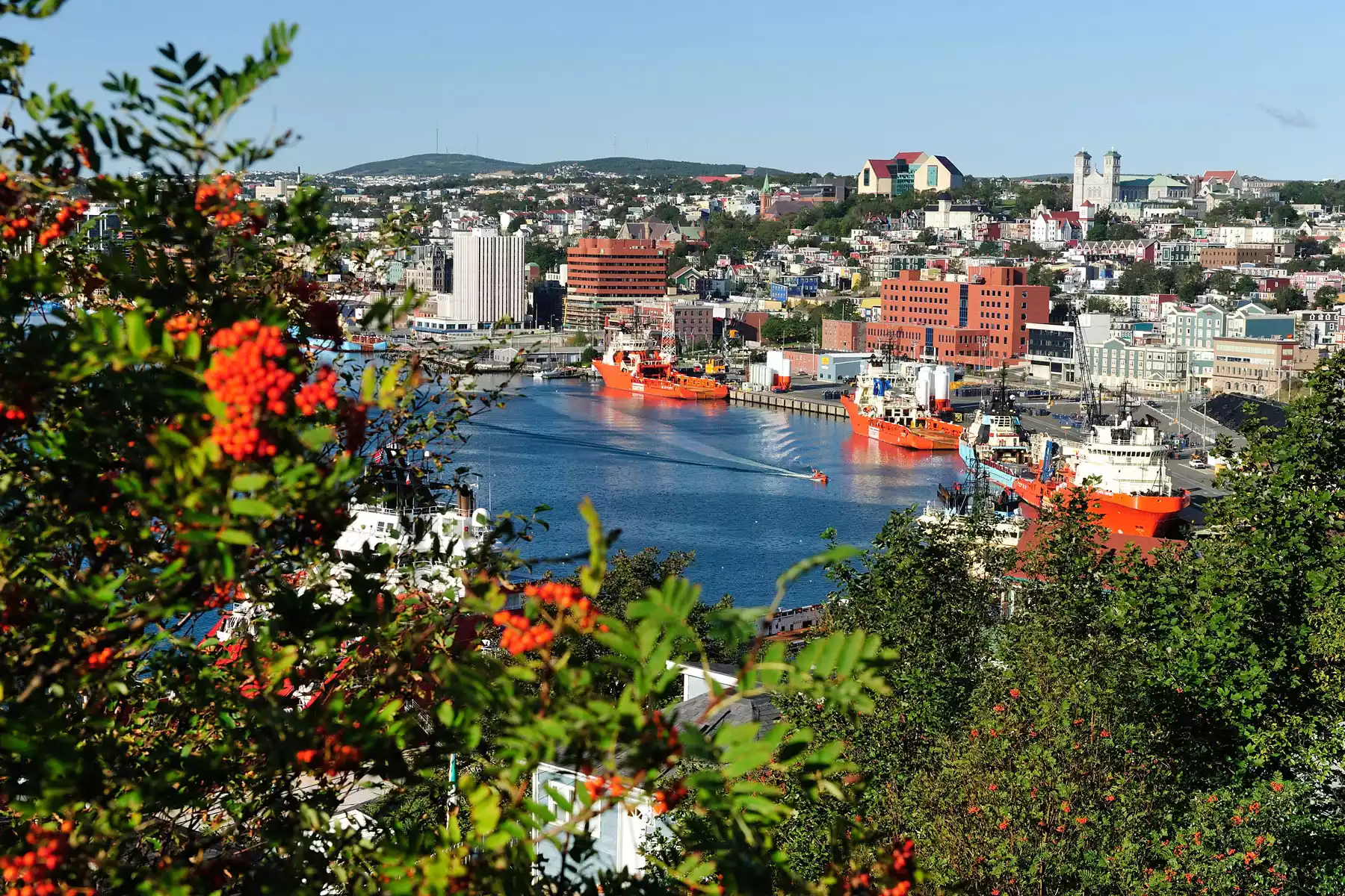 St. Johns Vacation Packages